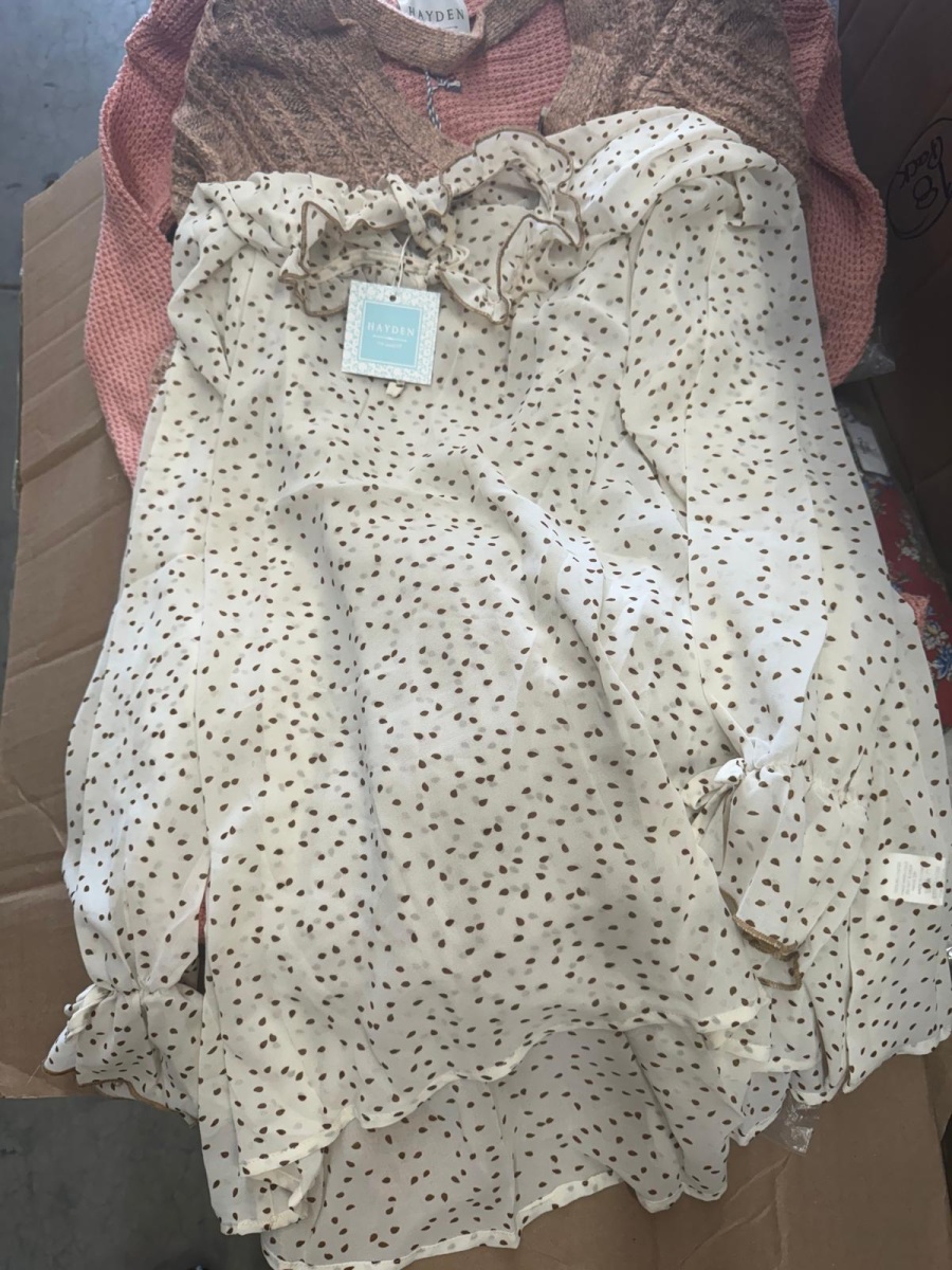 Hayden LA Apparel Lot